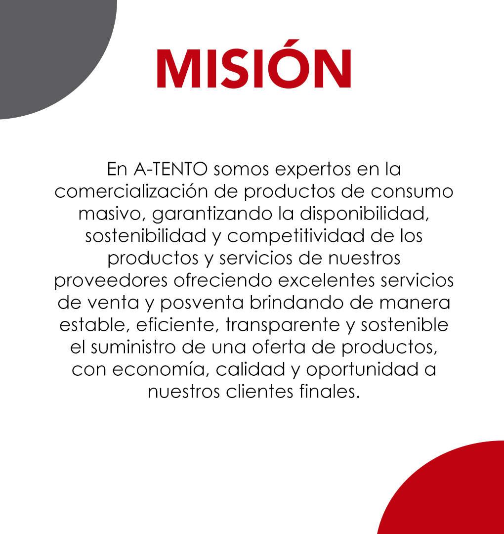 MISION web MISION web