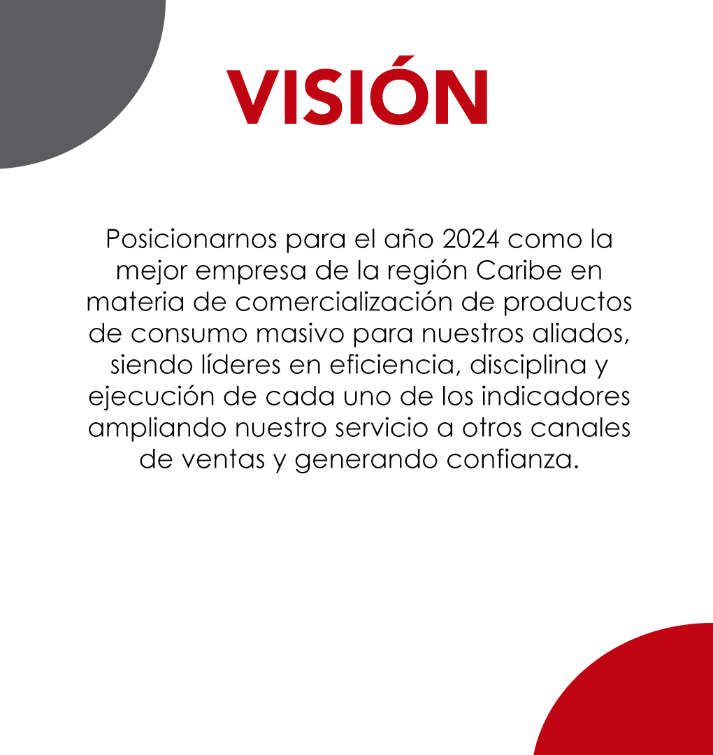 VISION web VISION web